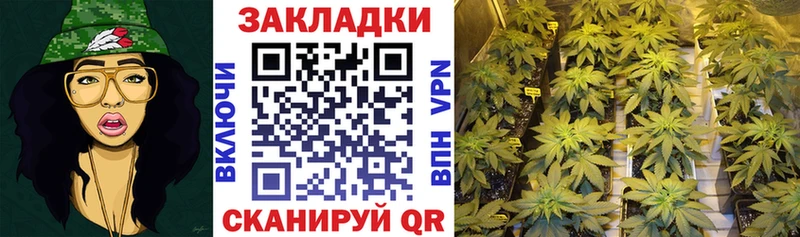  COCAIN Льгов