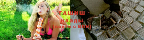 эйфоретик Тайга